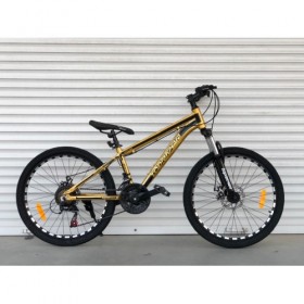 Спортивний велосипед Toprider 680 24 ", золотий